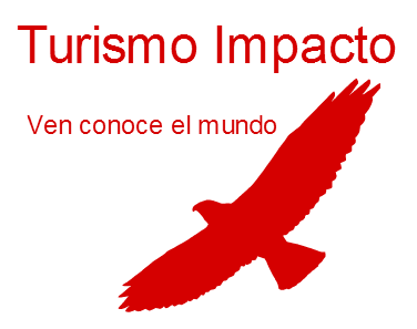 TDW Guillermo Mosqueda Araujo